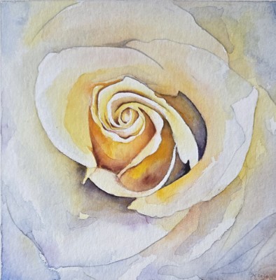 Aquarellbild einer Rose in expressiven Lila- und Gelbtönen